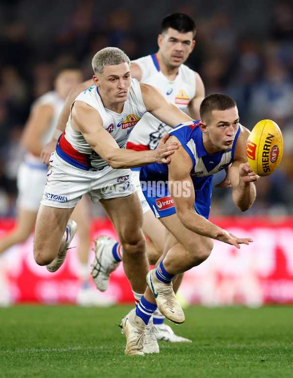 AFL 2025 Round 17 - North Melbourne v Western Bulldogs - A-60336738