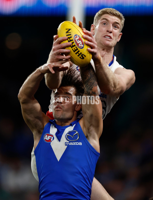 AFL 2025 Round 17 - North Melbourne v Western Bulldogs - A-60336767