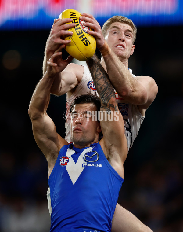 AFL 2025 Round 17 - North Melbourne v Western Bulldogs - A-60336769