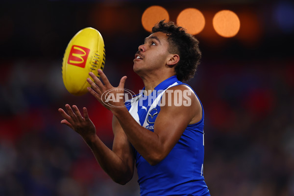 AFL 2025 Round 17 - North Melbourne v Western Bulldogs - A-60339009