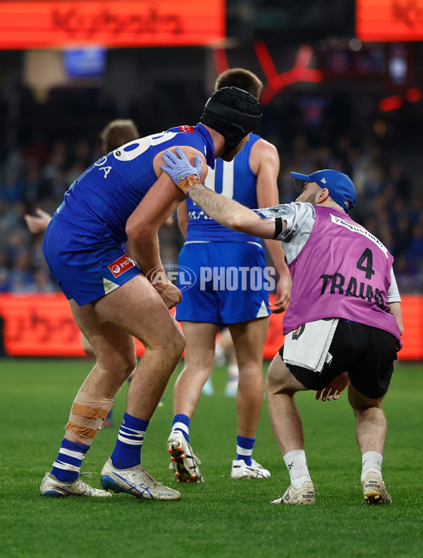 AFL 2025 Round 17 - North Melbourne v Western Bulldogs - A-60341547