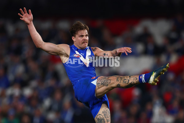 AFL 2025 Round 17 - North Melbourne v Western Bulldogs - A-60341549