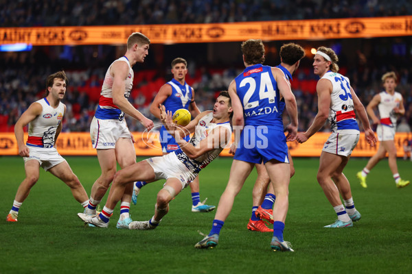 AFL 2025 Round 17 - North Melbourne v Western Bulldogs - A-60341584