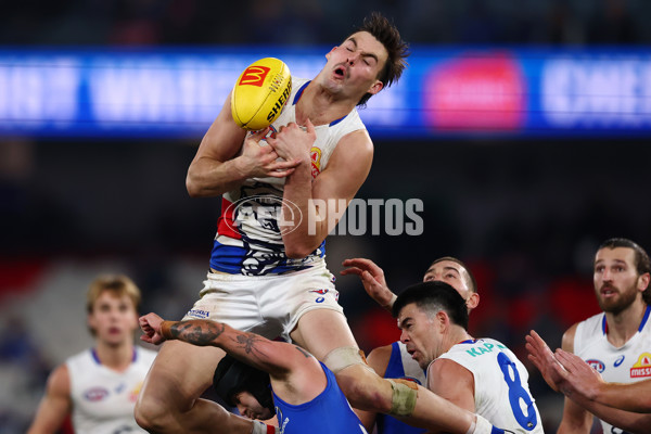 AFL 2025 Round 17 - North Melbourne v Western Bulldogs - A-60341618