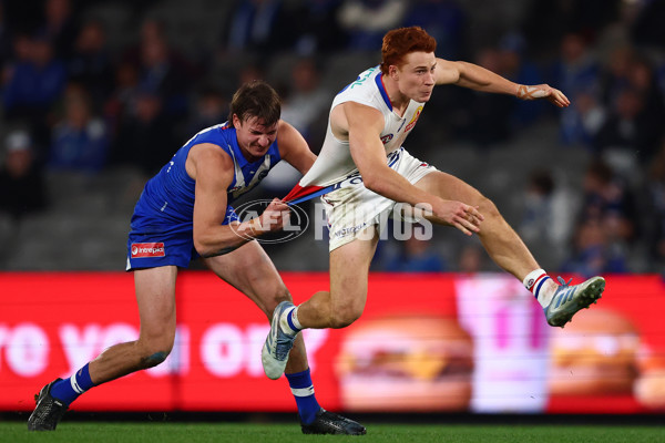AFL 2025 Round 17 - North Melbourne v Western Bulldogs - A-60341619
