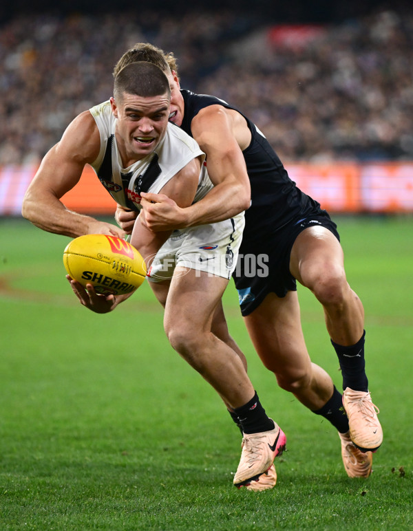 AFL 2025 Round 17 - Carlton v Collingwood - A-60352978