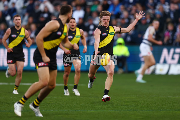 AFL 2025 Round 17 - Geelong v Richmond - A-60379886