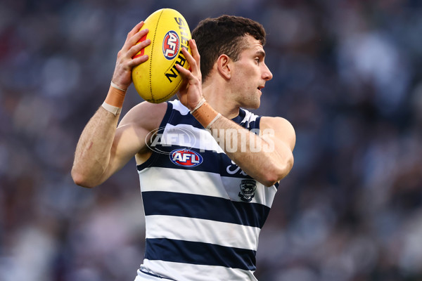 AFL 2025 Round 17 - Geelong v Richmond - A-60379909