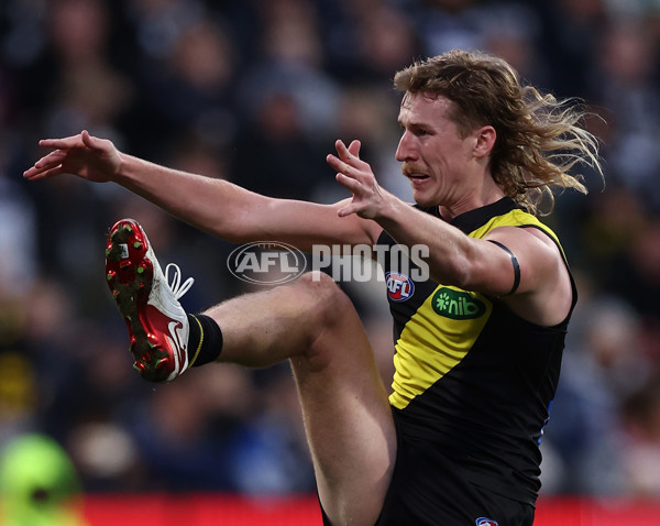 AFL 2025 Round 17 - Geelong v Richmond - A-60381366