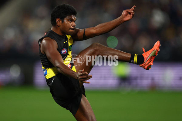AFL 2025 Round 17 - Geelong v Richmond - A-60384765