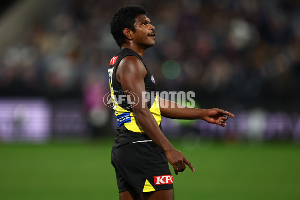 AFL 2025 Round 17 - Geelong v Richmond - A-60386613