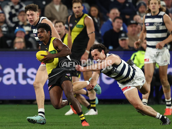 AFL 2025 Round 17 - Geelong v Richmond - A-60387501