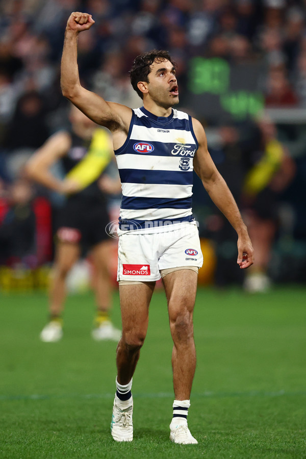 AFL 2025 Round 17 - Geelong v Richmond - A-60392348