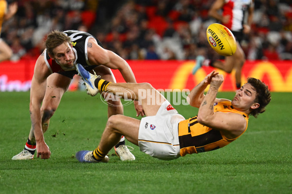 AFL 2025 Round 17 - St Kilda v Hawthorn - A-60392718