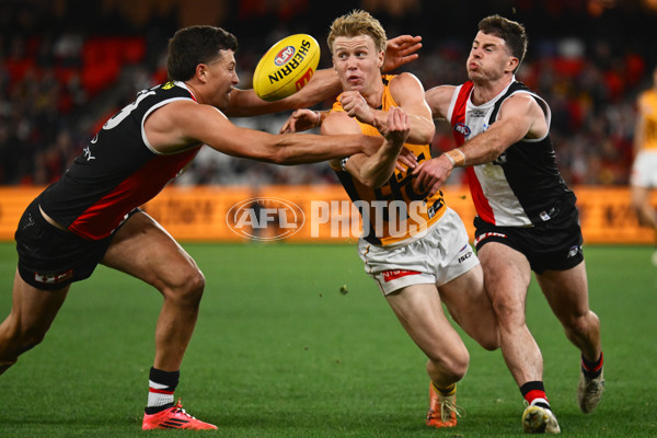 AFL 2025 Round 17 - St Kilda v Hawthorn - A-60394627