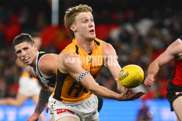 AFL 2025 Round 17 - St Kilda v Hawthorn - A-60394628