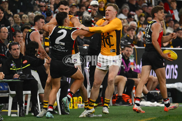 AFL 2025 Round 17 - St Kilda v Hawthorn - A-60394630