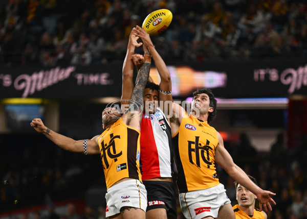 AFL 2025 Round 17 - St Kilda v Hawthorn - A-60394650
