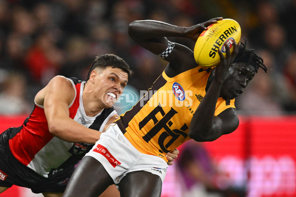 AFL 2025 Round 17 - St Kilda v Hawthorn - A-60395276