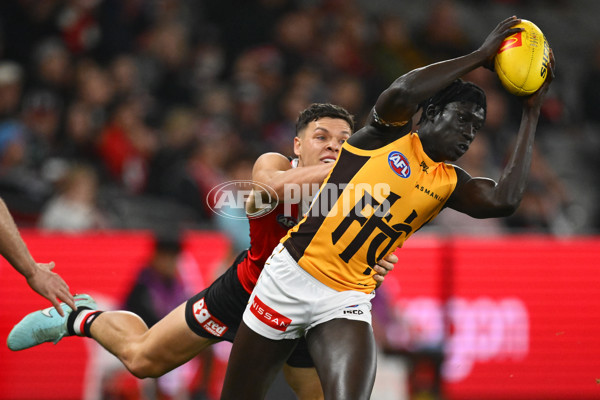 AFL 2025 Round 17 - St Kilda v Hawthorn - A-60395277