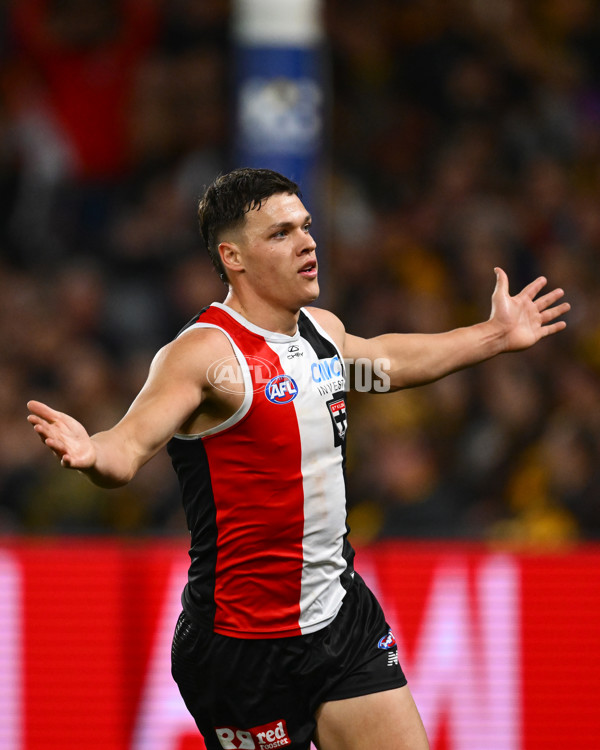 AFL 2025 Round 17 - St Kilda v Hawthorn - A-60397232