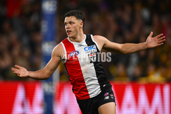 AFL 2025 Round 17 - St Kilda v Hawthorn - A-60397233