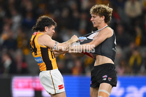 AFL 2025 Round 17 - St Kilda v Hawthorn - A-60398461