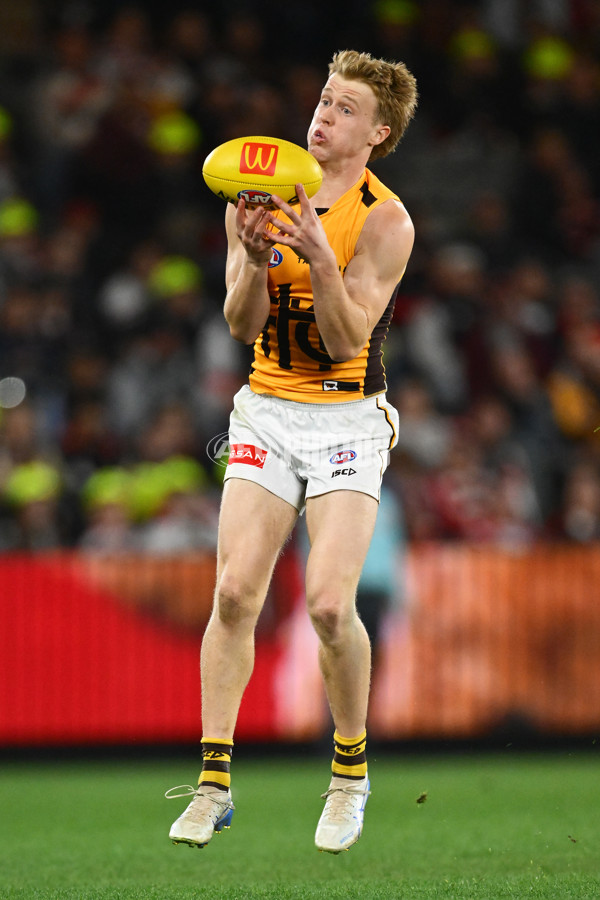 AFL 2025 Round 17 - St Kilda v Hawthorn - A-60398476