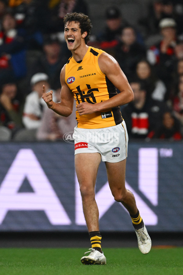 AFL 2025 Round 17 - St Kilda v Hawthorn - A-60399744