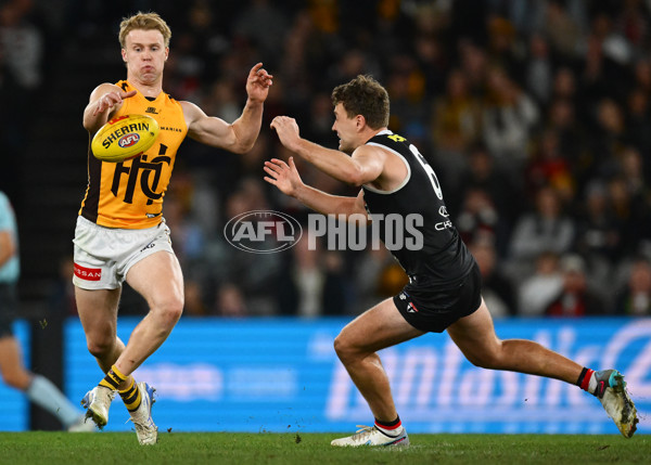 AFL 2025 Round 17 - St Kilda v Hawthorn - A-60400864