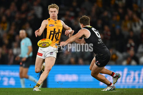 AFL 2025 Round 17 - St Kilda v Hawthorn - A-60400866