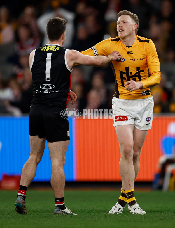AFL 2025 Round 17 - St Kilda v Hawthorn - A-60400911