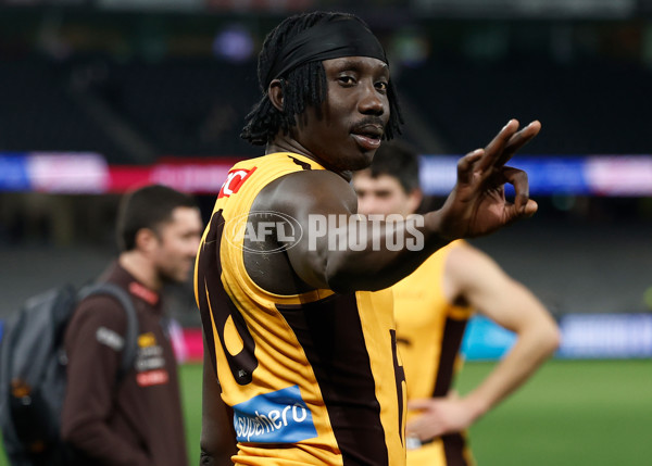 AFL 2025 Round 17 - St Kilda v Hawthorn - A-60403431