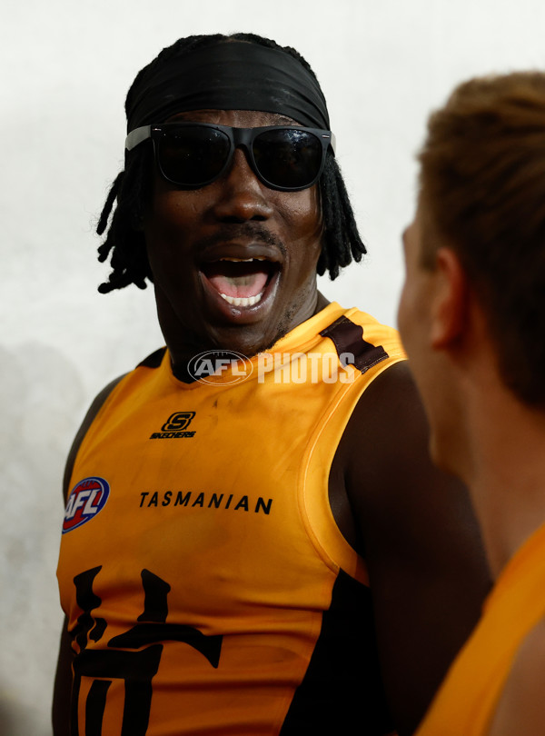 AFL 2025 Round 17 - St Kilda v Hawthorn - A-60405075