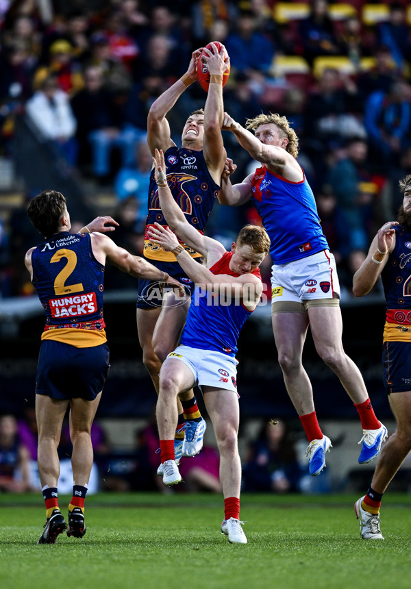 AFL 2025 Round 17 - Adelaide v Melbourne - A-60413446