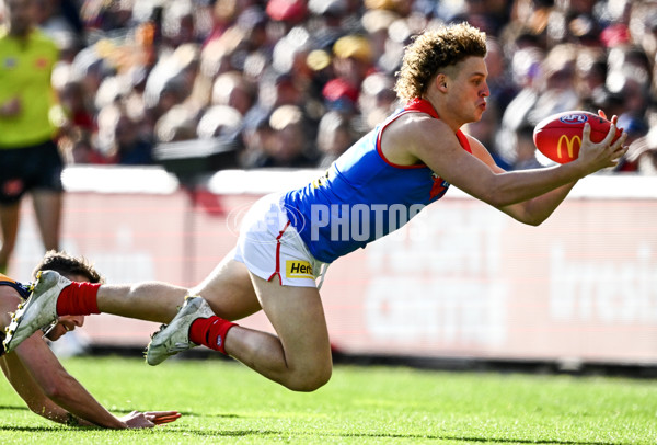 AFL 2025 Round 17 - Adelaide v Melbourne - A-60416320