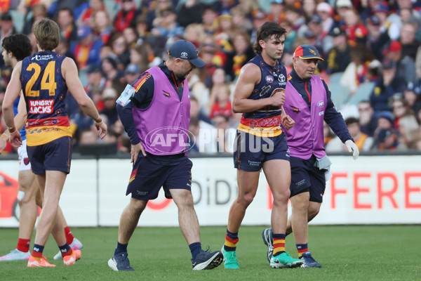 AFL 2025 Round 17 - Adelaide v Melbourne - A-60418481