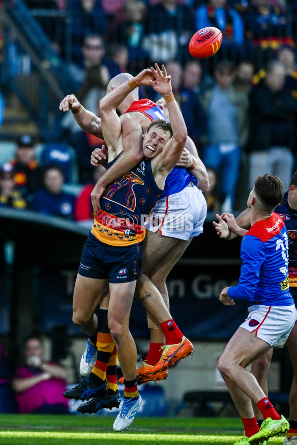 AFL 2025 Round 17 - Adelaide v Melbourne - A-60418498