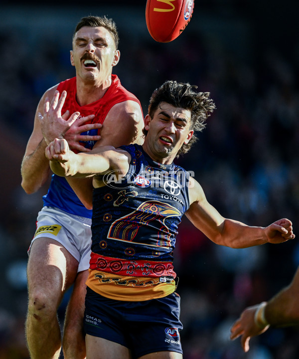AFL 2025 Round 17 - Adelaide v Melbourne - A-60421636