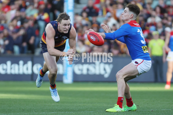 AFL 2025 Round 17 - Adelaide v Melbourne - A-60421652