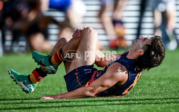 AFL 2025 Round 17 - Adelaide v Melbourne - A-60421659