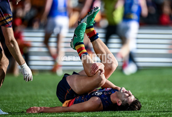 AFL 2025 Round 17 - Adelaide v Melbourne - A-60421660