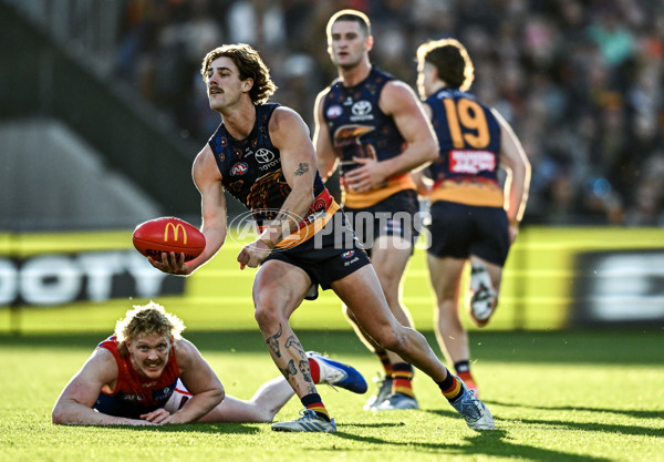AFL 2025 Round 17 - Adelaide v Melbourne - A-60421680
