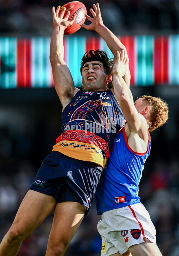 AFL 2025 Round 17 - Adelaide v Melbourne - A-60421750