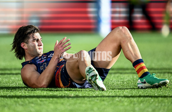 AFL 2025 Round 17 - Adelaide v Melbourne - A-60421754