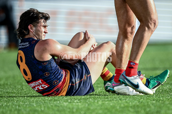 AFL 2025 Round 17 - Adelaide v Melbourne - A-60421756