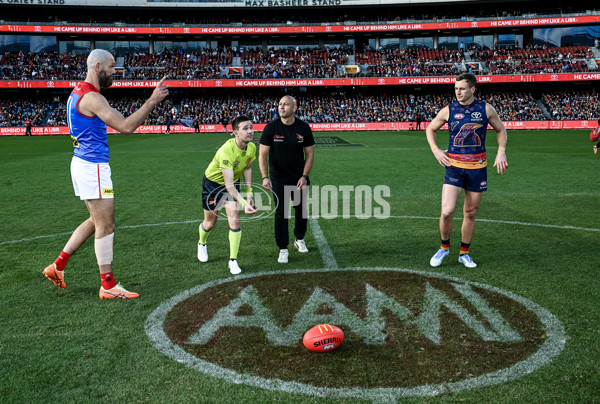 AFL 2025 Round 17 - Adelaide v Melbourne - A-60424945