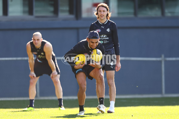 AFL 2025 Training - Carlton 090725 - A-60437981