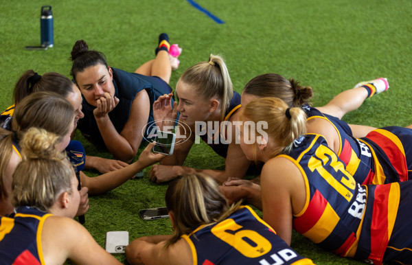 AFLW 2025 Media - Adelaide Team Photo Day - A-60462480