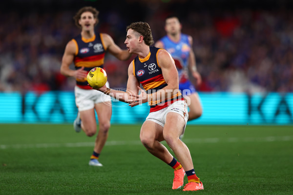 AFL 2025 Round 18 - Western Bulldogs v Adelaide - A-60479679